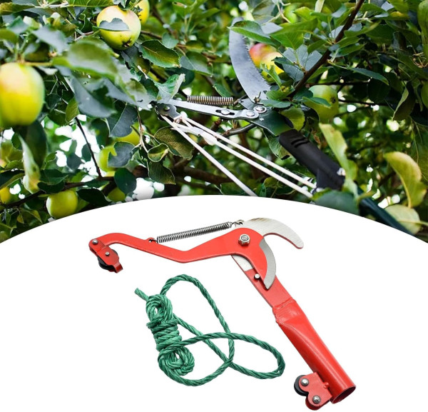 صورة المنتج